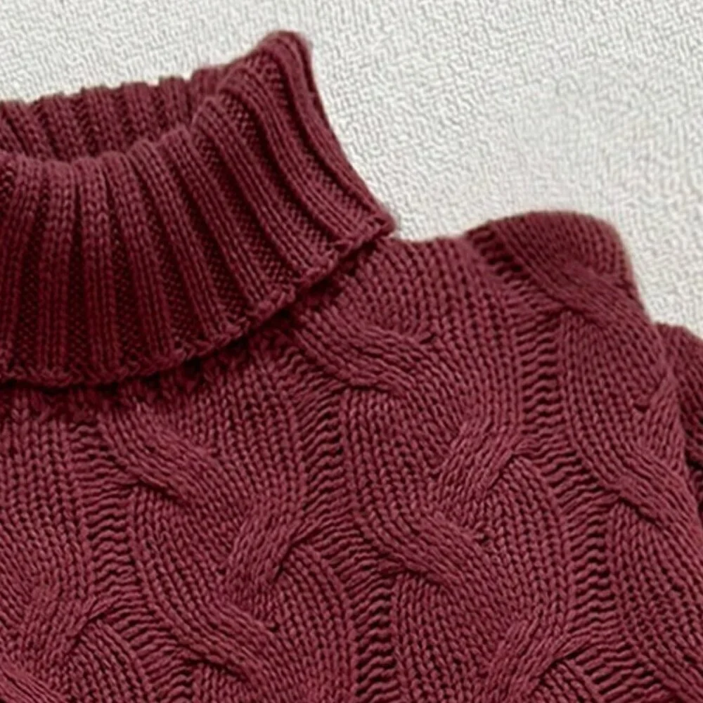 Burgundy Casual Women's Comfortable Twisted Rope print Textured highneck sweater